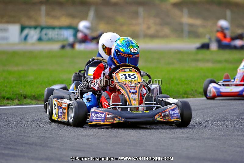 DSC_ (734).jpg